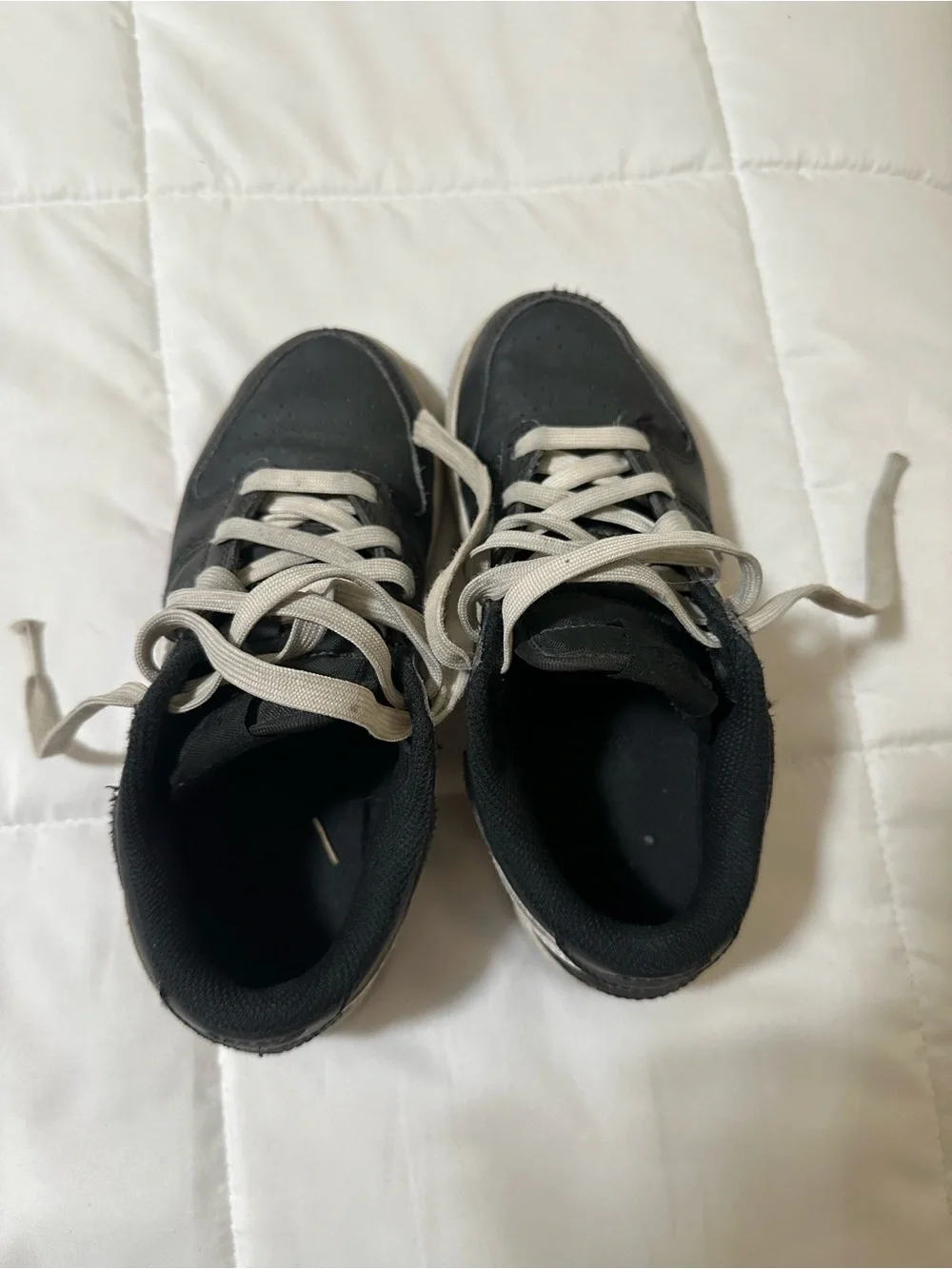 Nike Dunks Kids Low-Top Sneakers